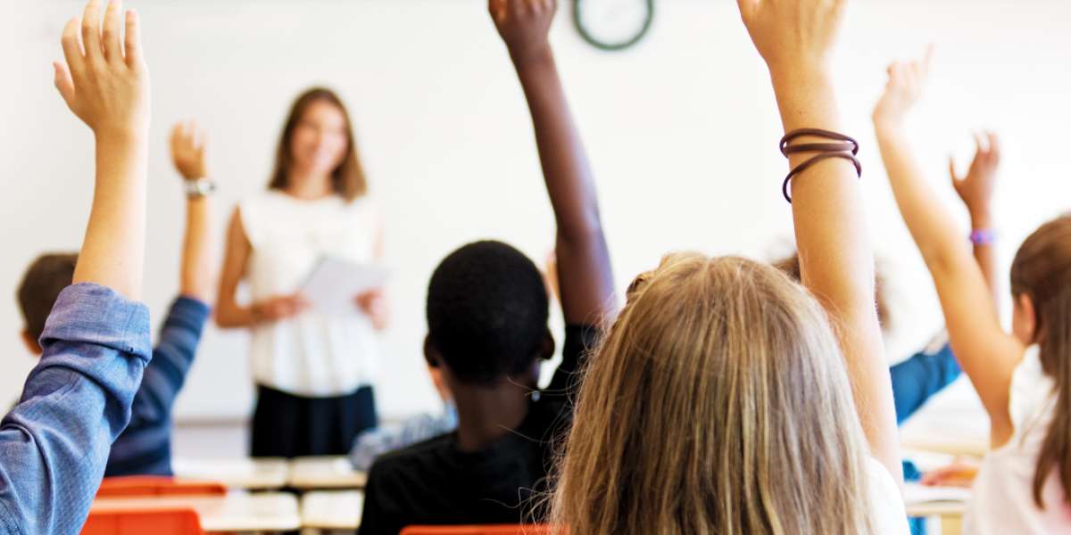 Wat dekt een schoolverzekering?